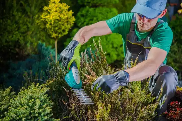 landscaping services Golden